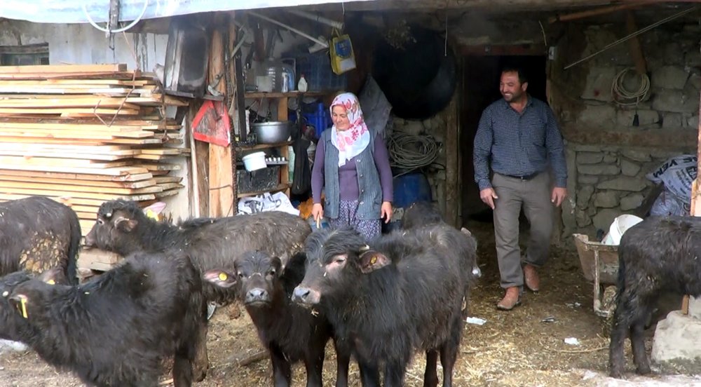 3 manda ile başladılar, şimdi taleplere yetişemiyorlar
