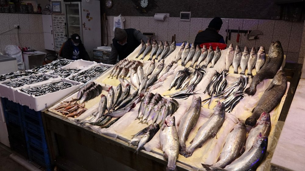 Avı yeniden başlayan hamsi tezgâhta 25 lira