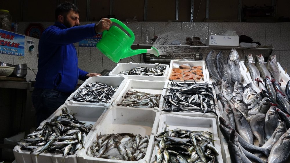 Avı yeniden başlayan hamsi tezgâhta 25 lira