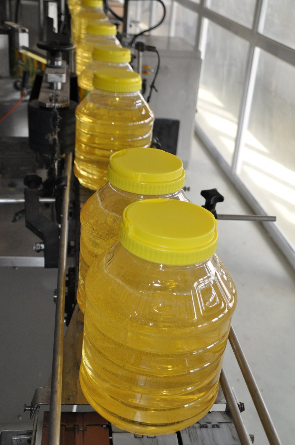 Kanserin düşmanı fındık yağı, 20 ülkeye ihraç ediliyor