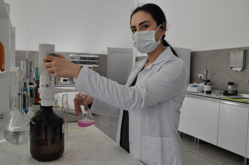 Kanserin düşmanı fındık yağı, 20 ülkeye ihraç ediliyor