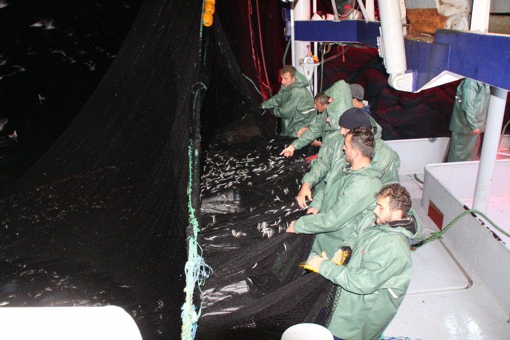 Karadeniz’de ‘ek tedbirlerle’ hamsi avı yeniden başladı
