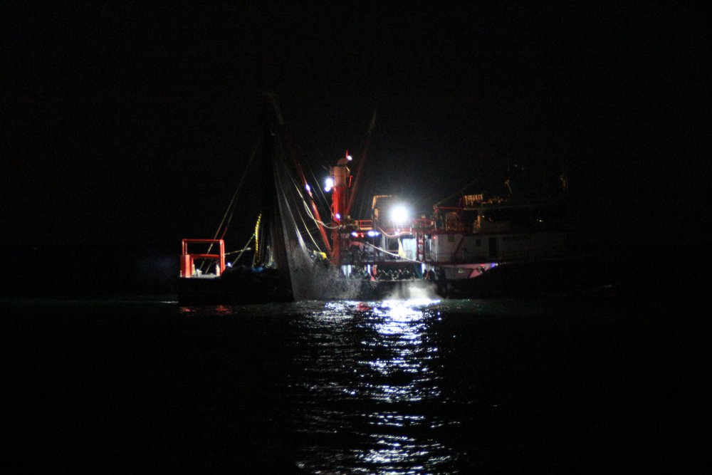 Karadeniz’de ‘ek tedbirlerle’ hamsi avı yeniden başladı