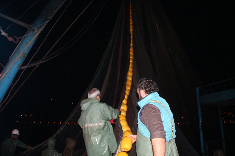Karadeniz’de ‘ek tedbirlerle’ hamsi avı yeniden başladı