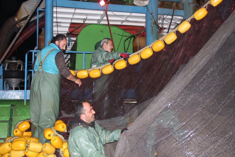 Karadeniz’de ‘ek tedbirlerle’ hamsi avı yeniden başladı