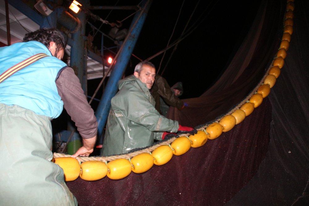 Karadeniz’de ‘ek tedbirlerle’ hamsi avı yeniden başladı