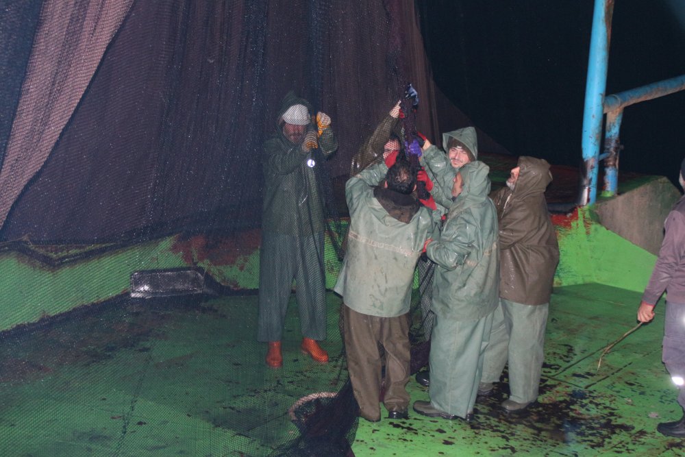 Karadeniz’de ‘ek tedbirlerle’ hamsi avı yeniden başladı