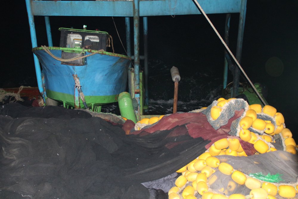 Karadeniz’de ‘ek tedbirlerle’ hamsi avı yeniden başladı