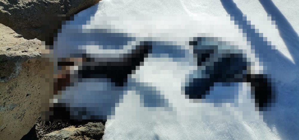 Kayıp zihinsel engellinin 23 gün sonra karlar arasında cesedi bulundu