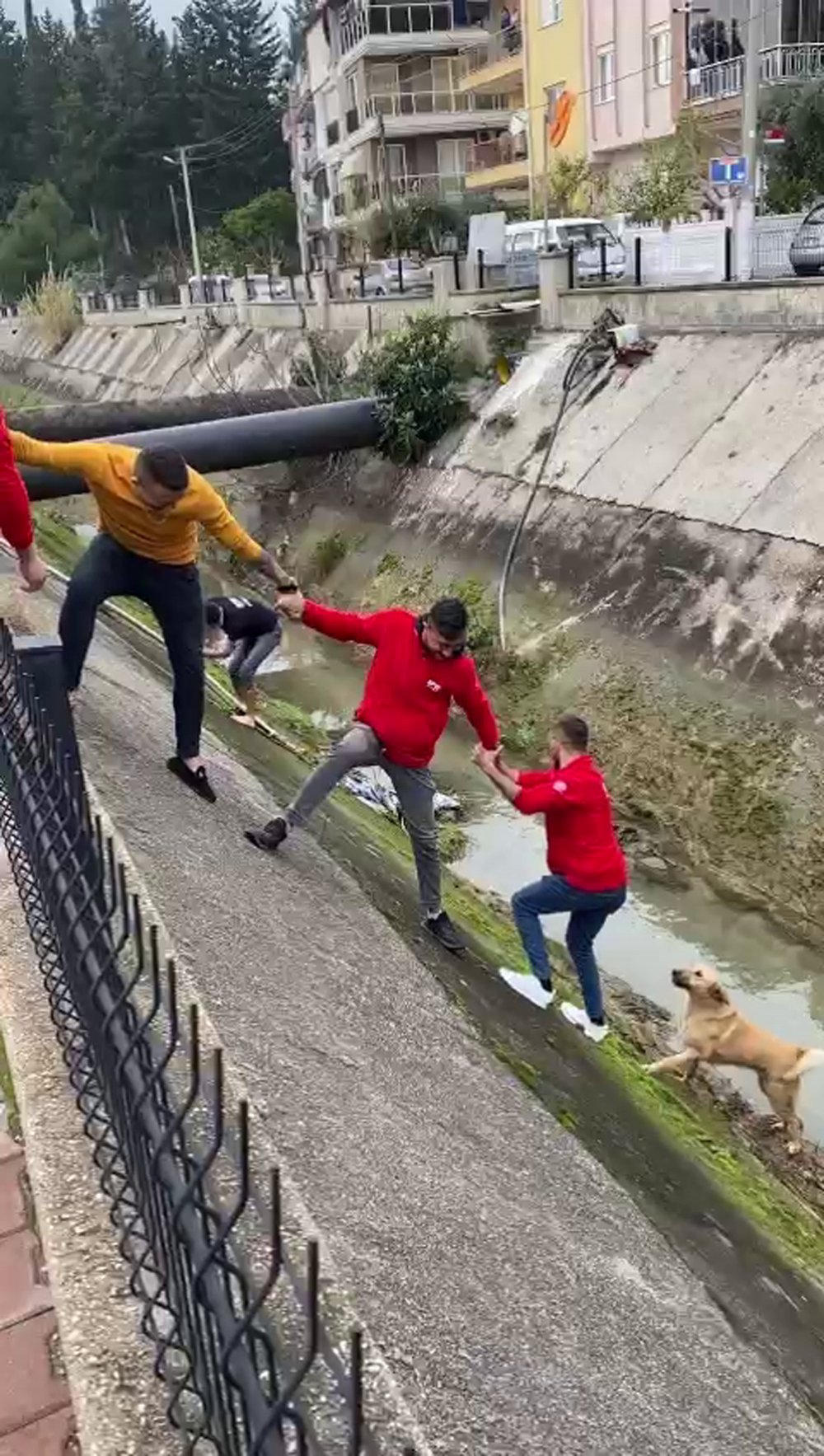 Kanala düşen köpek imece usulü kurtarıldı