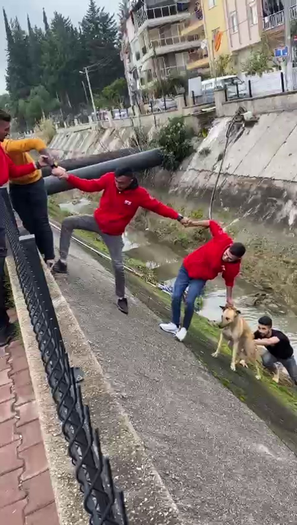 Kanala düşen köpek imece usulü kurtarıldı