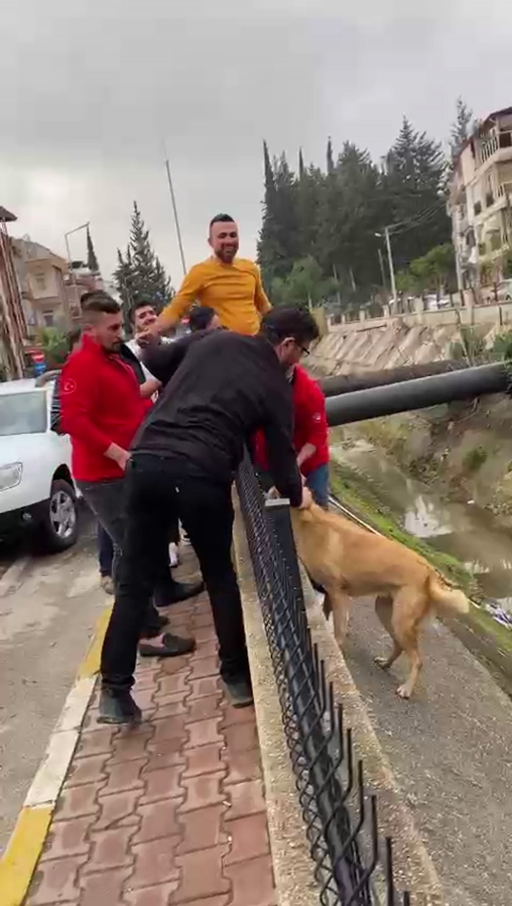 Kanala düşen köpek imece usulü kurtarıldı