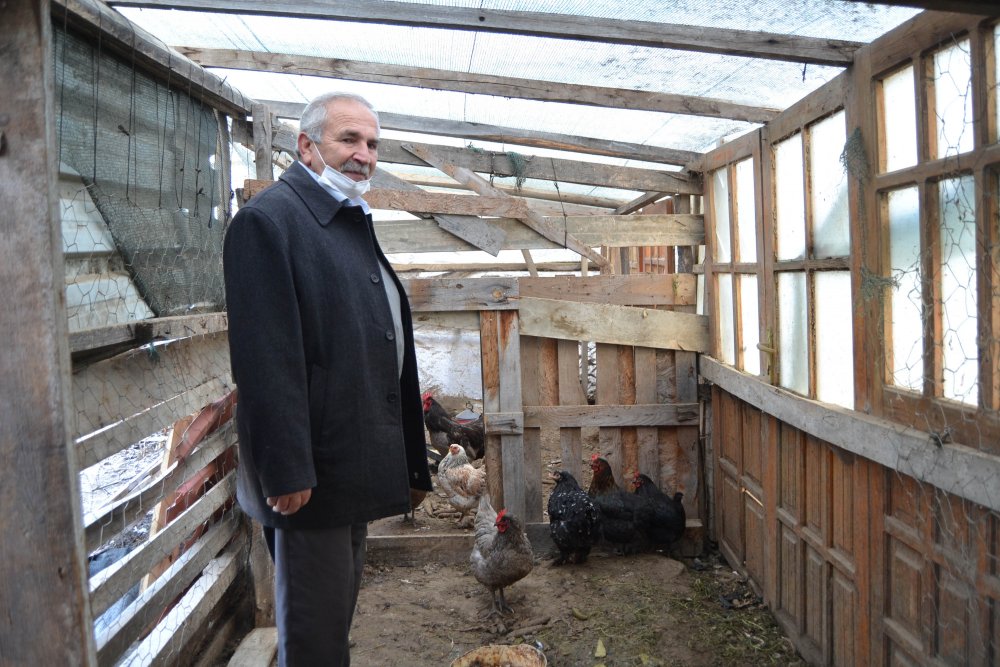 Tilkiye seslenişi sosyal medyada büyük ilgi gören kümes sahibinin oğlu da yolda gördüğü tilkiyi besledi