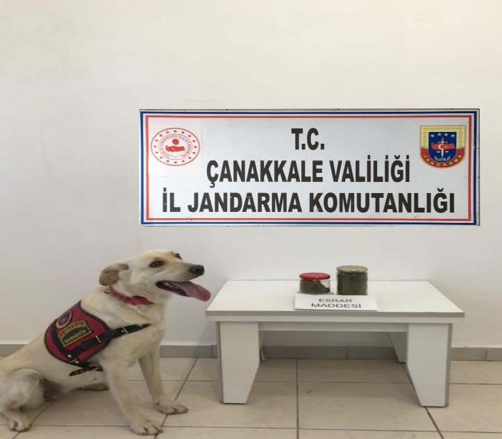Çanakkale’de 16 operasyonda 30 uyuşturucu taciri yakalandı, 7'si tutuklandı