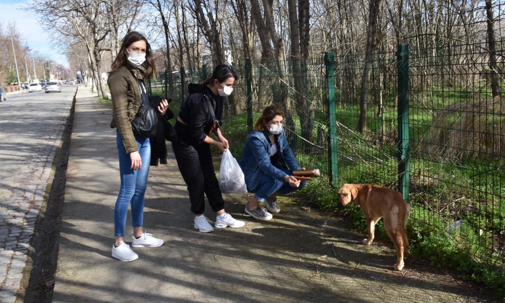 Hasta sokak köpeğine üniversiteli öğrenciler sahip çıktı