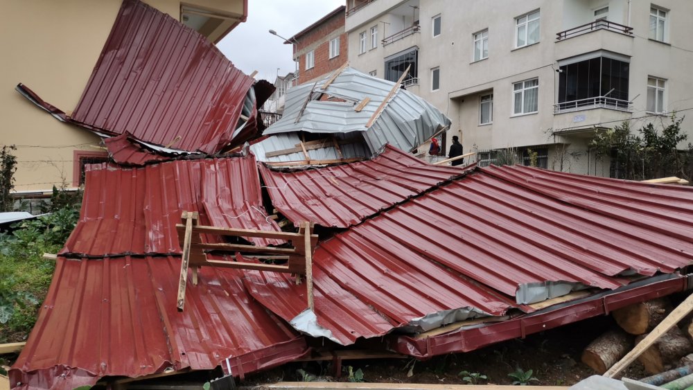 Çatılar uçtu... Ağaçlar devrildi... Kış Ordu'yu da vurdu!