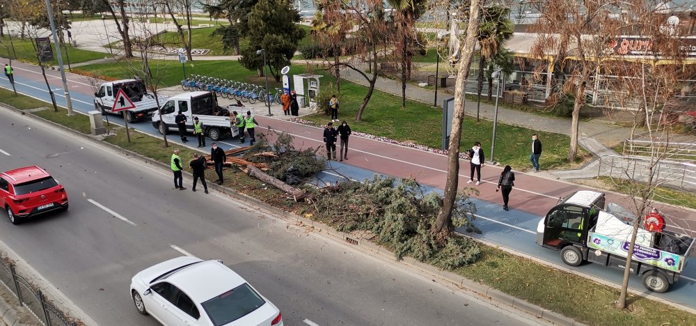 Çatılar uçtu... Ağaçlar devrildi... Kış Ordu'yu da vurdu!