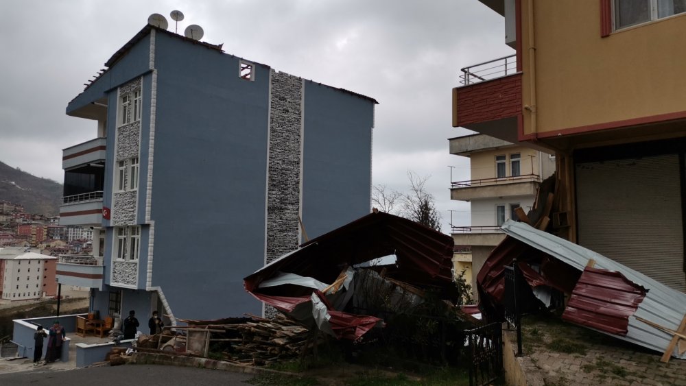 Çatılar uçtu... Ağaçlar devrildi... Kış Ordu'yu da vurdu!