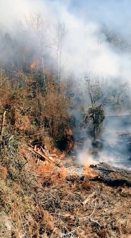 Hatay'da orman yangını