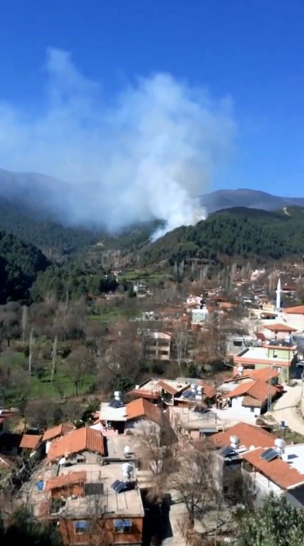 Hatay'da orman yangını