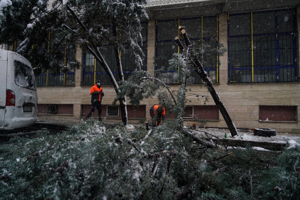 Kış nefes aldırmıyor... Kar ve rüzgar sebebiyle ağaç sokağa devrildi