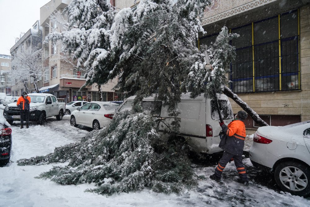 Kış nefes aldırmıyor... Kar ve rüzgar sebebiyle ağaç sokağa devrildi