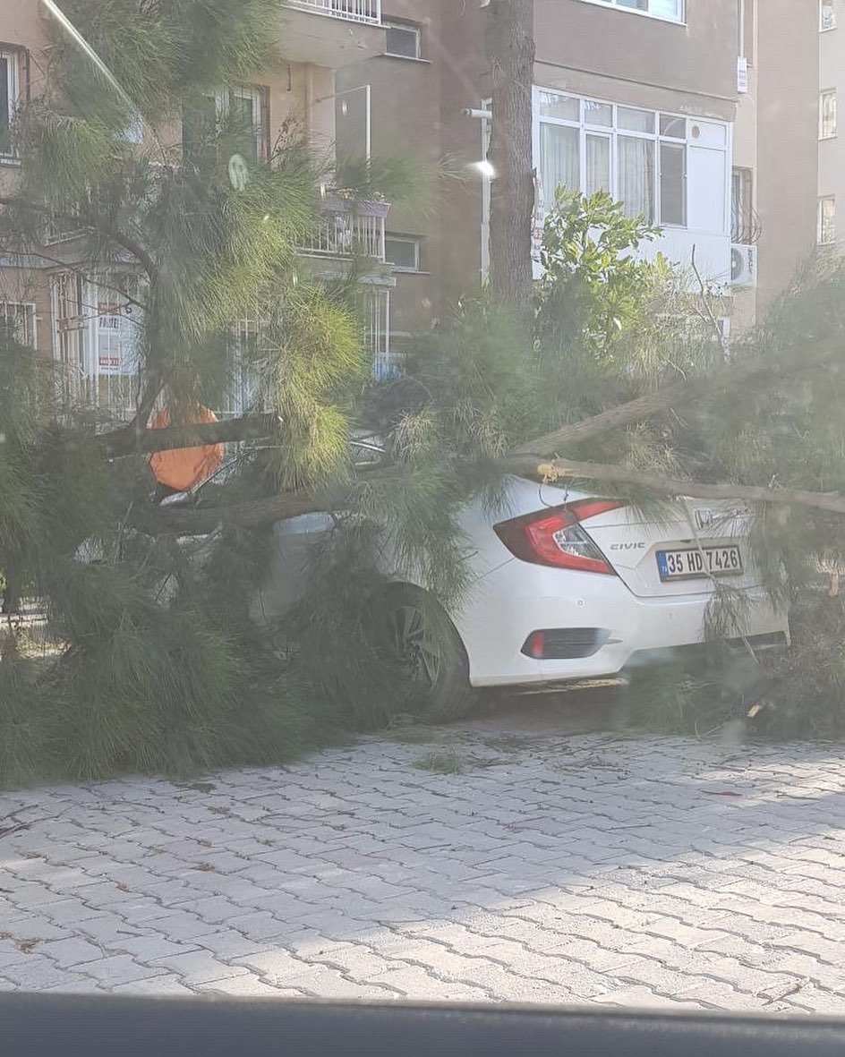 İzmir'de fırtına; ağaçlar devrildi, çatılar uçtu