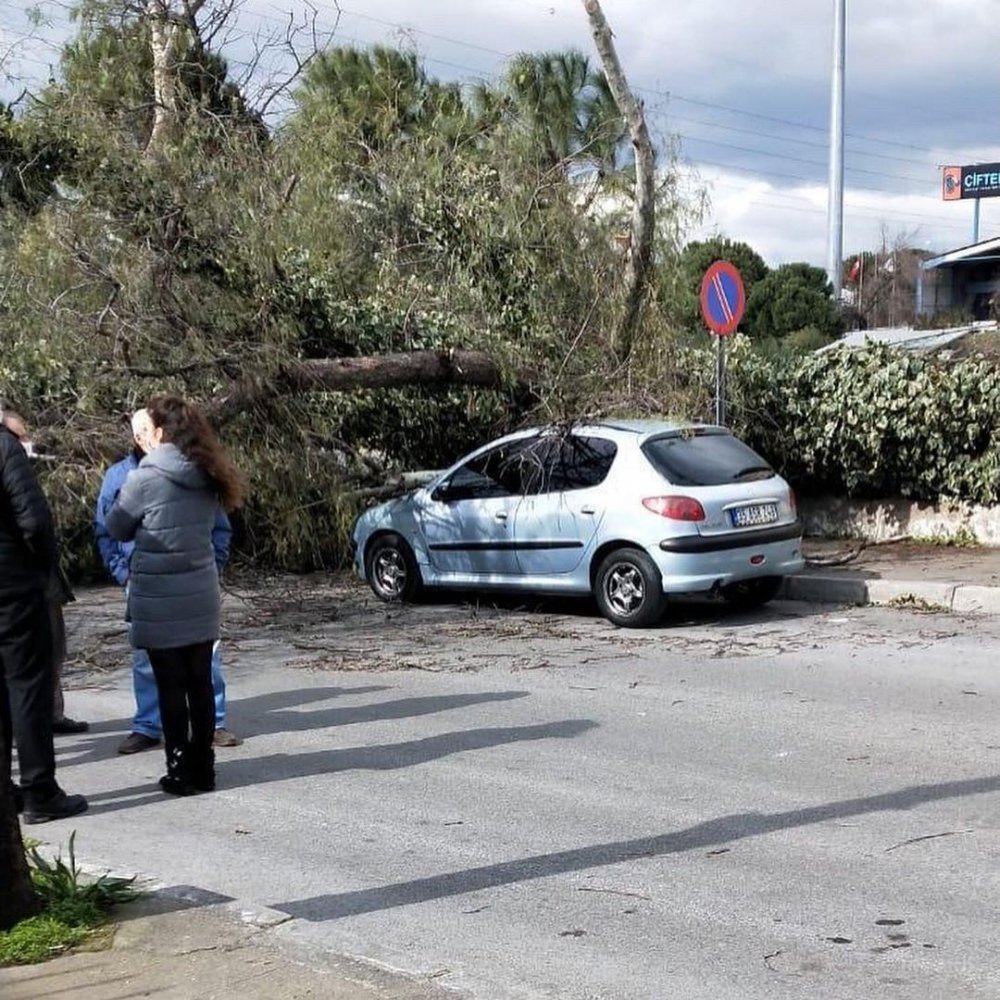 İzmir'de fırtına; ağaçlar devrildi, çatılar uçtu