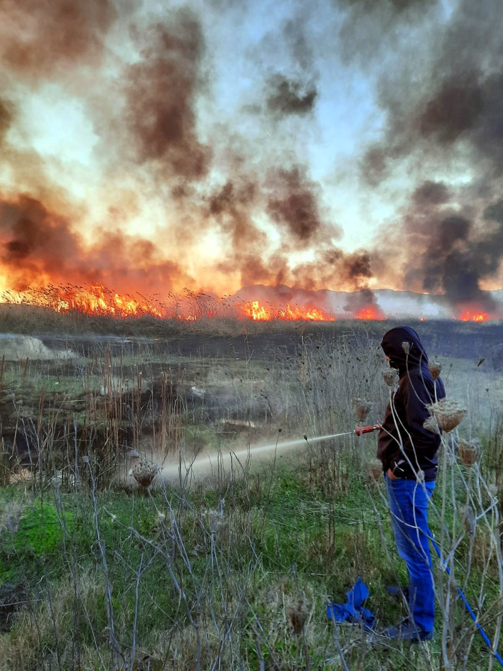 Antalya'da korkutan yangın!
