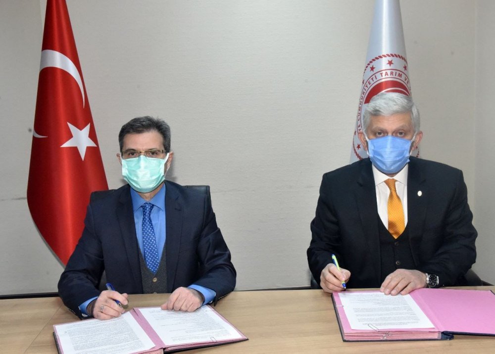 Tarım Bakanlığı'ndan ev hayvanları için hamle... Zorunlu hale gelecek!
