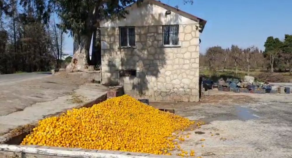 'Çürük portakallarla meyve suyu yapılıyor' iddiasına denetleme