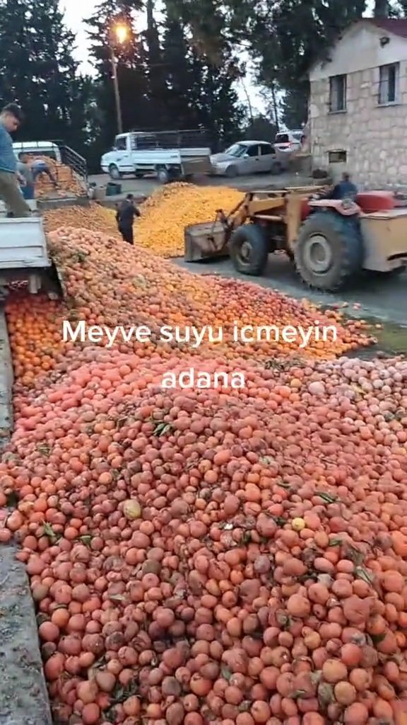 'Çürük portakallarla meyve suyu yapılıyor' iddiasına denetleme