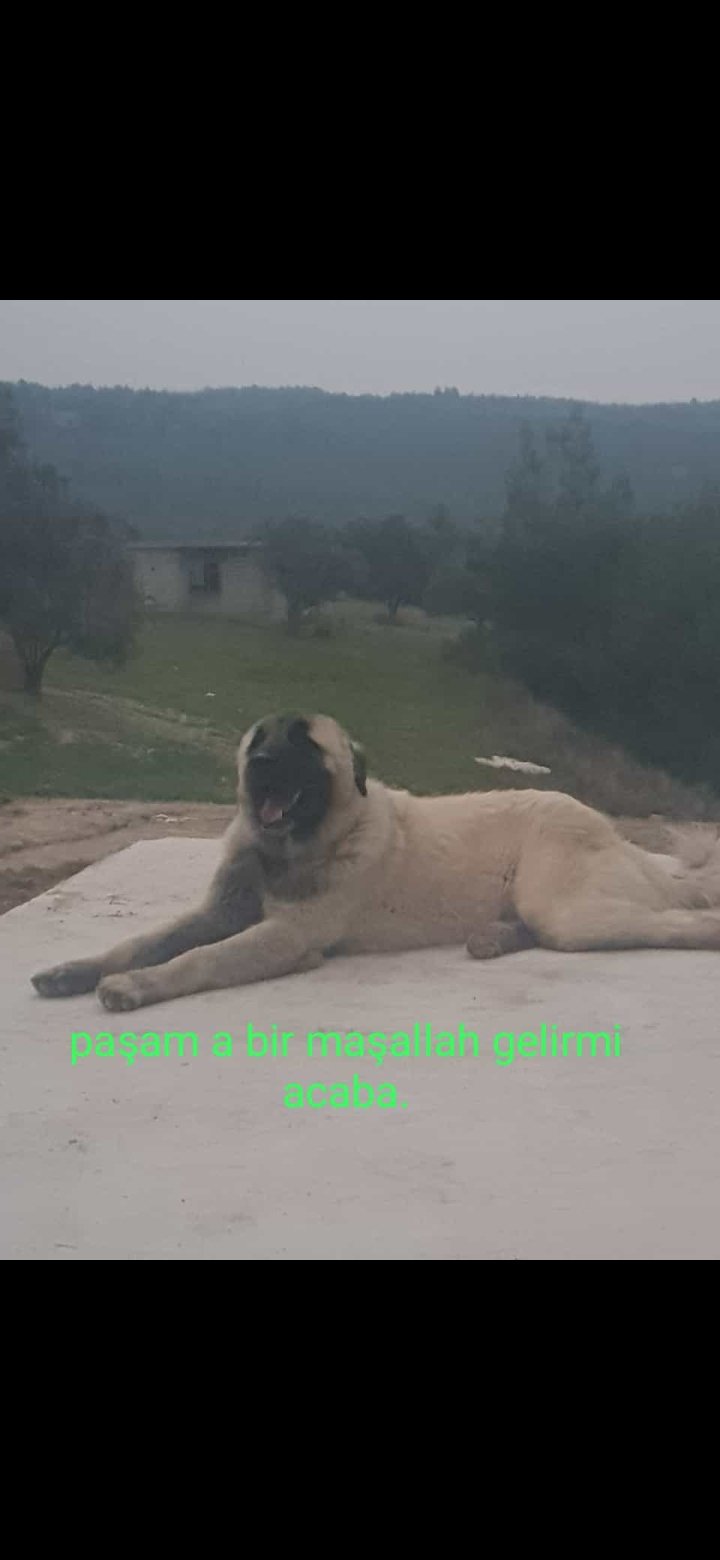 Hastaneye yetişmeye çalışırken radar cezası yazılmıştı... Hukuk mücadelesini kazandı