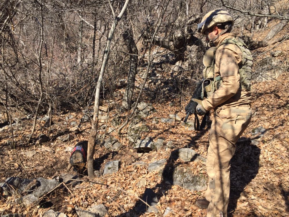 Tunceli'de teröristlere göz açtırılmıyor! 'Eren-7 Munzur' operasyonu; 2 sığınak imha edildi
