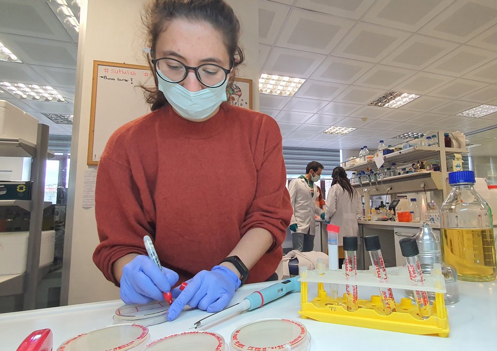 Aşı teknolojisinde devrim yaratacak “mikrokürecik aşısı”nda ilk insan deneyleri yaz başında