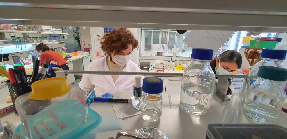 Aşı teknolojisinde devrim yaratacak “mikrokürecik aşısı”nda ilk insan deneyleri yaz başında