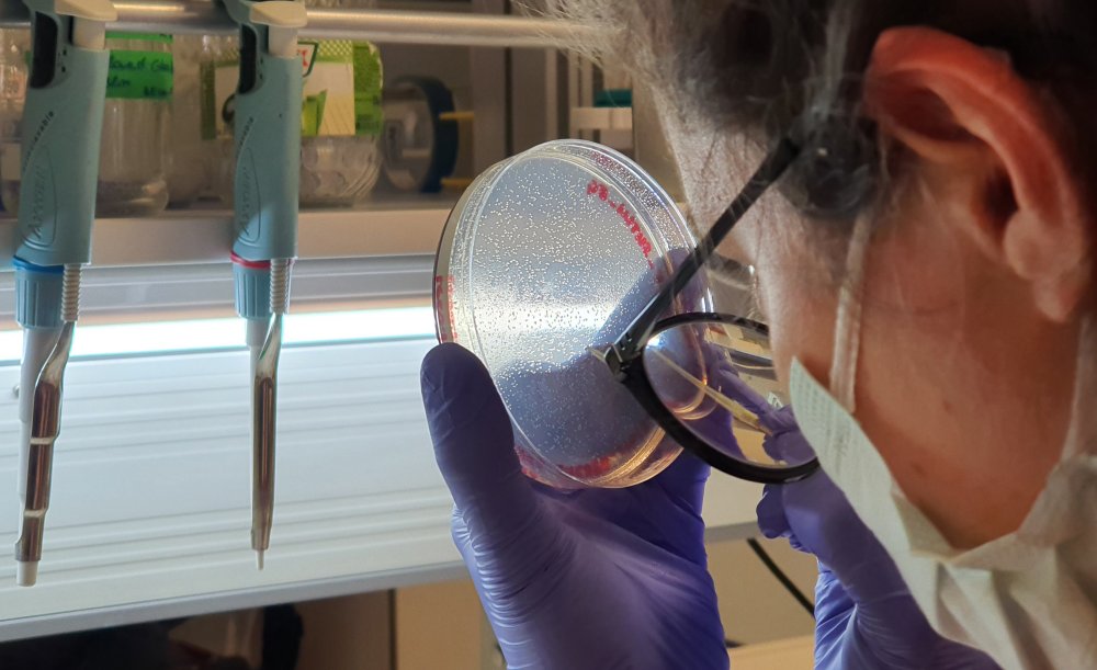 Aşı teknolojisinde devrim yaratacak “mikrokürecik aşısı”nda ilk insan deneyleri yaz başında