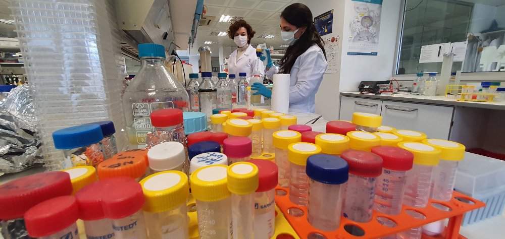 Aşı teknolojisinde devrim yaratacak “mikrokürecik aşısı”nda ilk insan deneyleri yaz başında