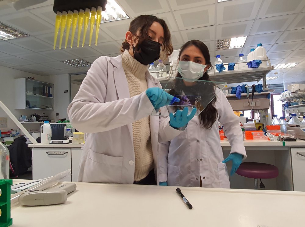 Aşı teknolojisinde devrim yaratacak “mikrokürecik aşısı”nda ilk insan deneyleri yaz başında