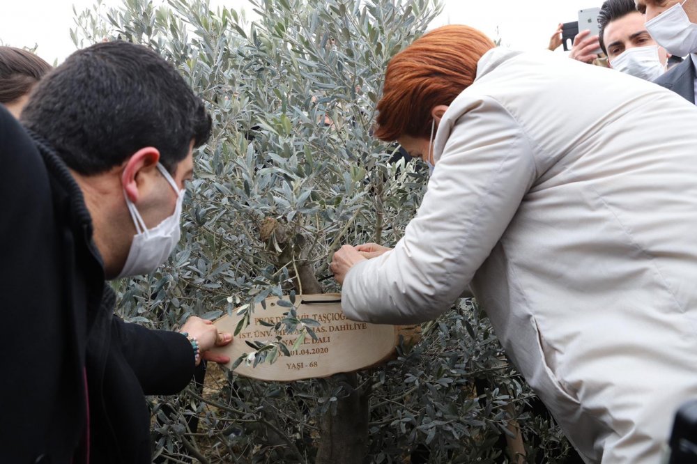 Meral Akşener Büyükçekmece'de salgında hayatını kaybeden sağlıkçılar anısına fidan dikti