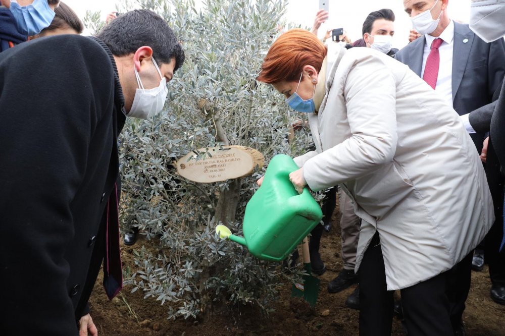 Meral Akşener Büyükçekmece'de salgında hayatını kaybeden sağlıkçılar anısına fidan dikti