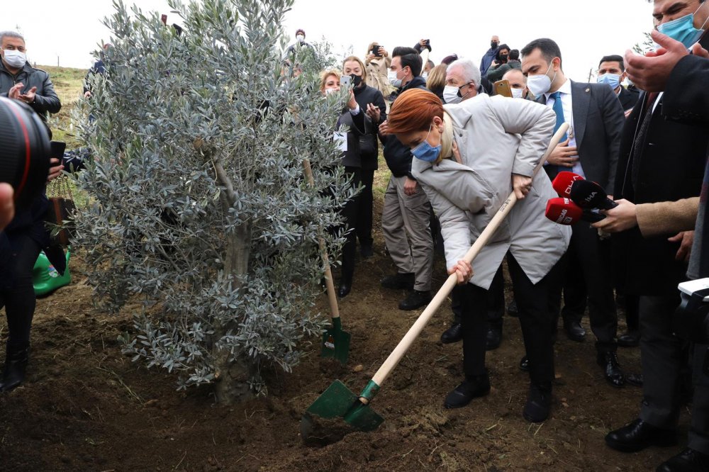 Meral Akşener Büyükçekmece'de salgında hayatını kaybeden sağlıkçılar anısına fidan dikti