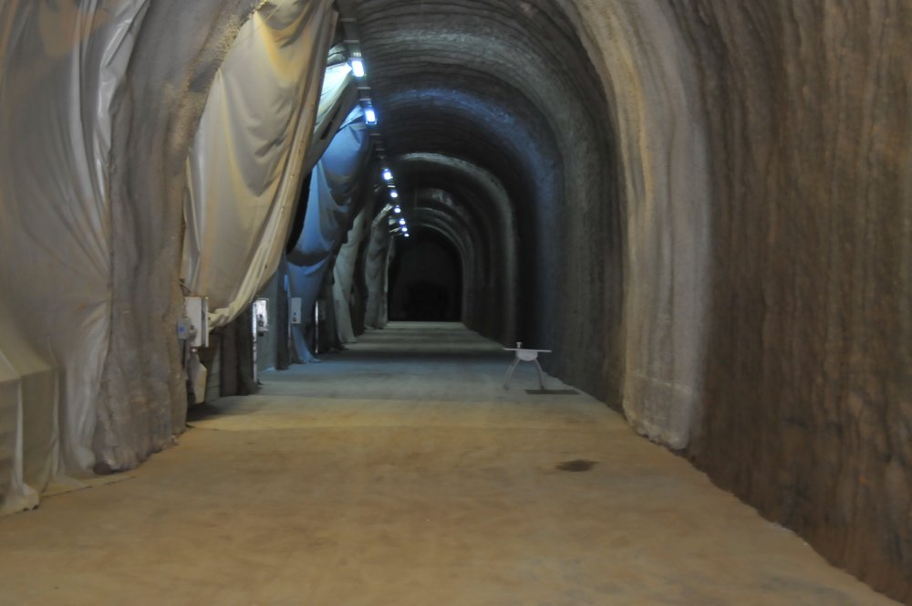 'Türkiye, 30 bin ton patates nişastası ithal ediyor'