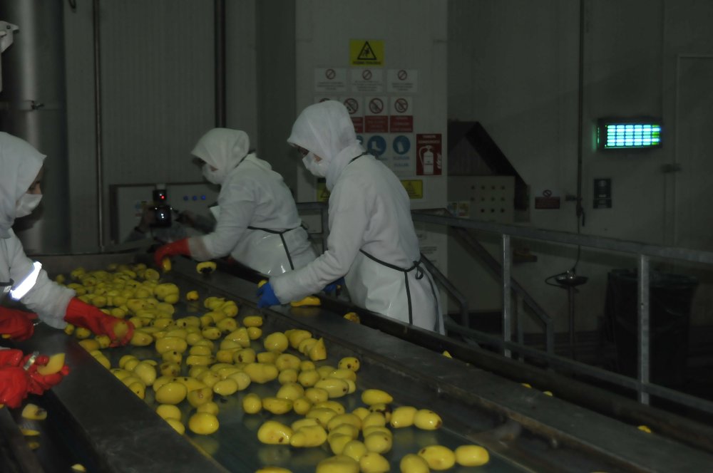 'Türkiye, 30 bin ton patates nişastası ithal ediyor'