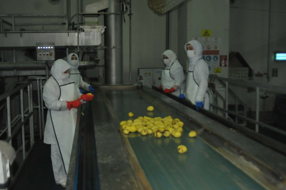 'Türkiye, 30 bin ton patates nişastası ithal ediyor'