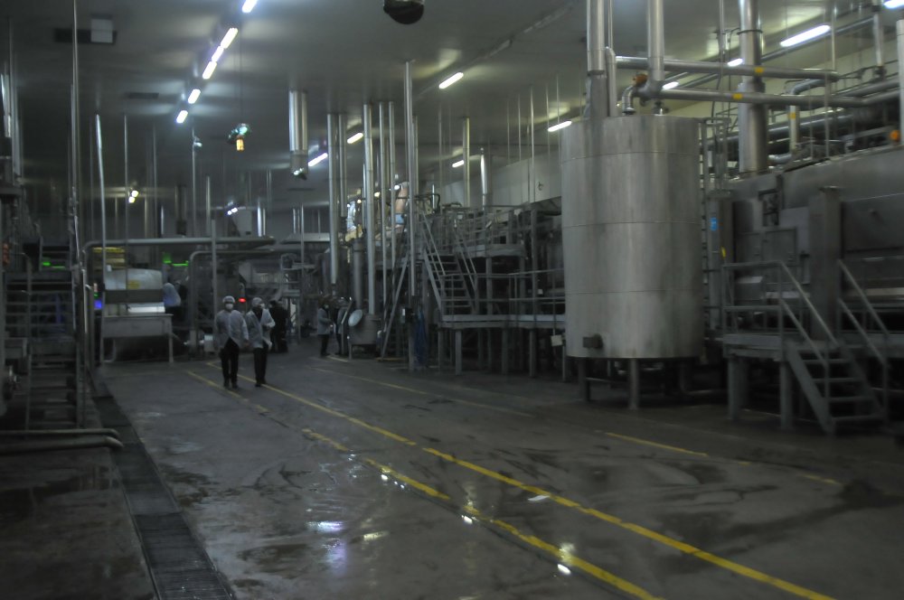 'Türkiye, 30 bin ton patates nişastası ithal ediyor'