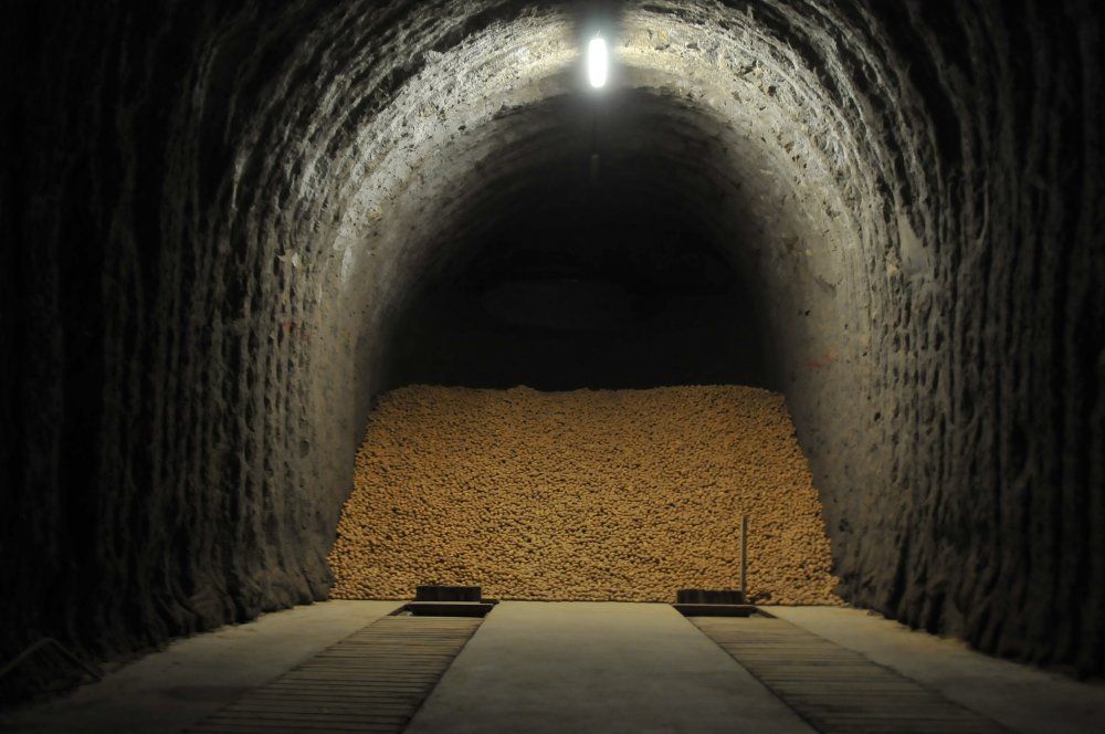 'Türkiye, 30 bin ton patates nişastası ithal ediyor'