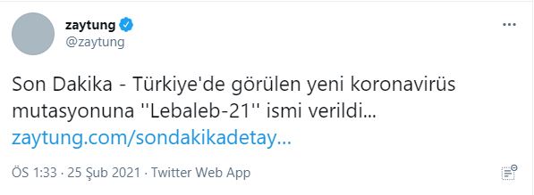 zaytung.jpg