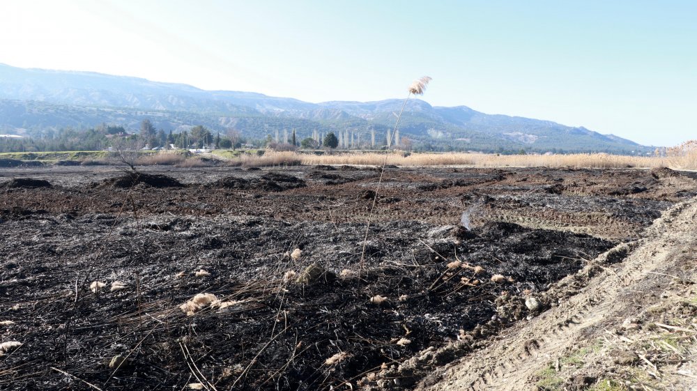 Burdur Gölü kıyısındaki yangının neden olduğu tahribat ortaya çıktı