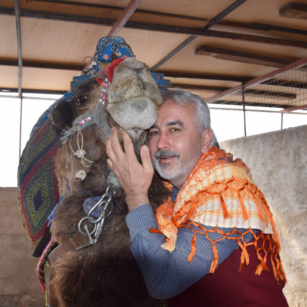 Güreş devesi sahipleri: Seyircisiz de olsa yılda bir kez güreşler yapılsın